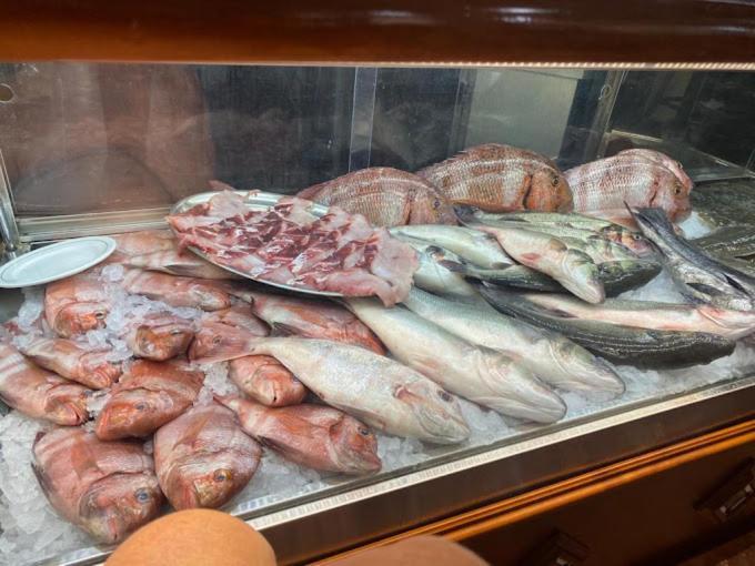 Hostal Quinto Pino 치피오나 외부 사진